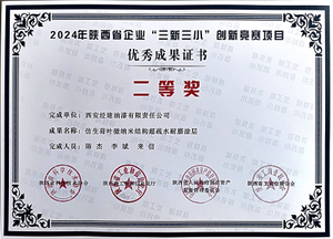 10-2024年陕西省"三新三小"创新竞赛项目优秀成果二等奖
