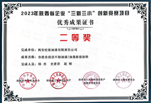 6-2023年陕西省企业"三新三小"创新竞赛项目优秀成果证书